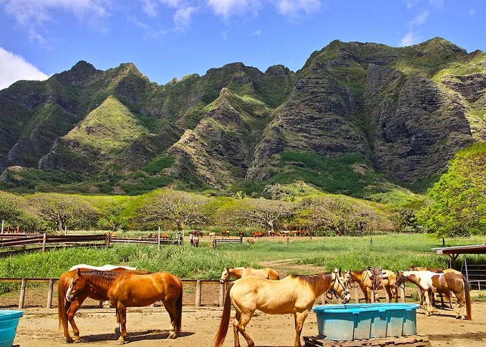 Holiday Inn Express Waikiki By Ihg